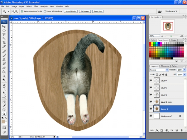 Creation of Catastrophy: Step 3